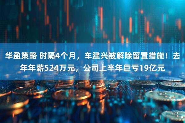 华盈策略 时隔4个月，车建兴被解除留置措施！去年年薪524万元，公司上半年巨亏19亿元