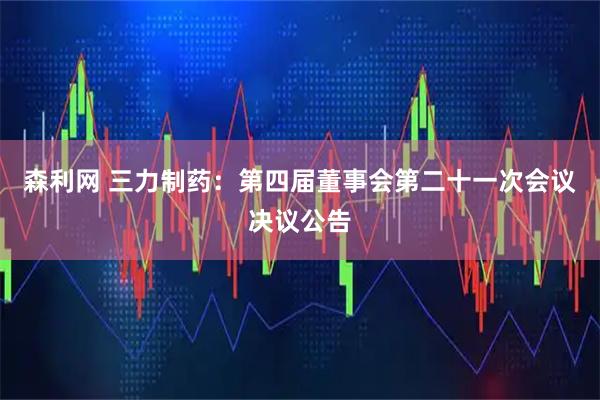 森利网 三力制药：第四届董事会第二十一次会议决议公告