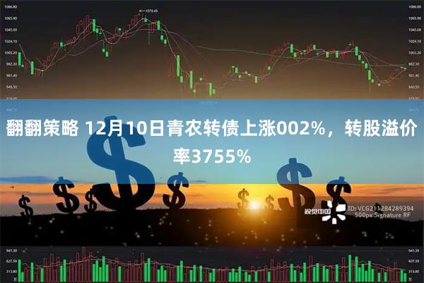 翻翻策略 12月10日青农转债上涨002%，转股溢价率3755%